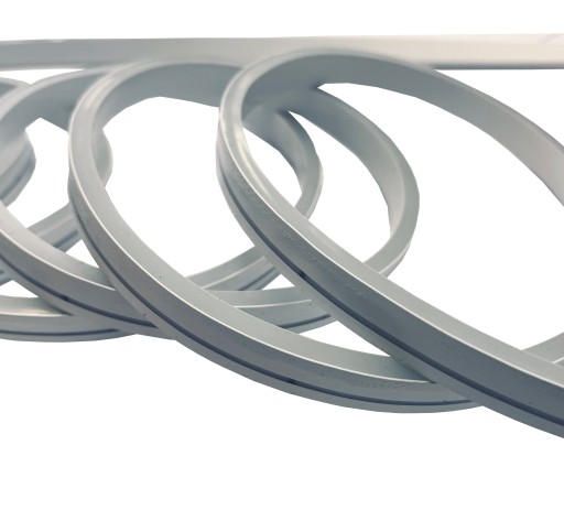 Neon FLEX 4x10mm SLIM 120 LED 12V DC 1m IP65 STUDENÁ