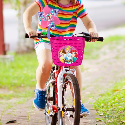 OKIENKO NA RIADITEĽSTVO SKÚTRE, BICYKEL PRINCESS PRINCESS