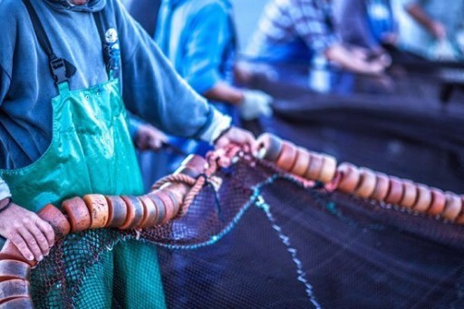 Sete Mares sardinková pasta 65g