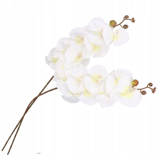 ORCHIDEA ORCHIDEA Vetvička LIVING QUALITY 90cm