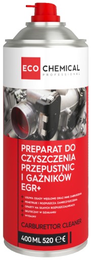 EGR TROTTLE CLEANER Ekochemický