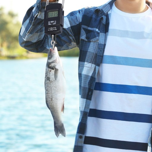Váha na batožinu cestovná turistická letecká spoločnosť vrecko na ruku 50 kg LCD