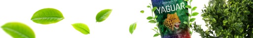 Yerba Mate Yaguar Elaborada 0,5 kg 500 g