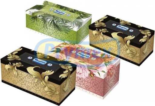 Regina vreckovky Box 4 v 96 ks