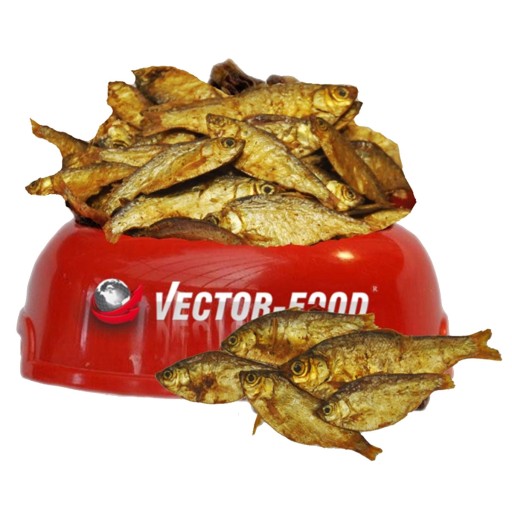 Vector-Food Sušené ryby (sardinky) 100g