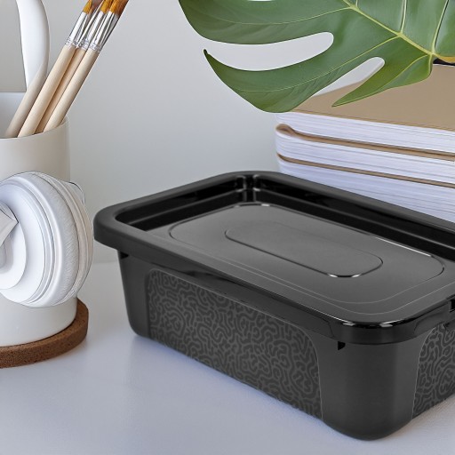 Organizér, plastový box, 4,5l, lesklý čierny, s vekom boxu