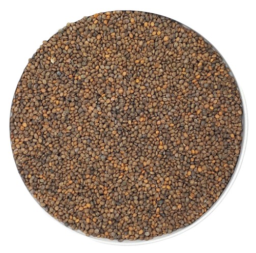 ARUCOLA - Semená na klíčky 100g