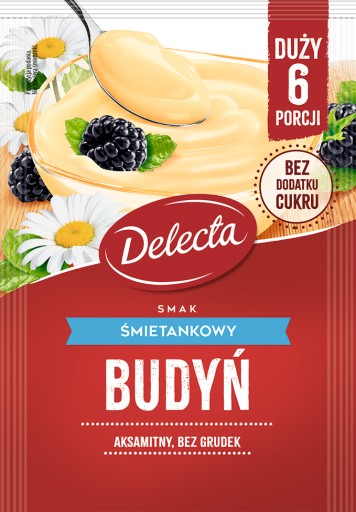 Delecta puding 5 príchutí 10x64g čokoláda, fudge, malina, vanilka, smotana