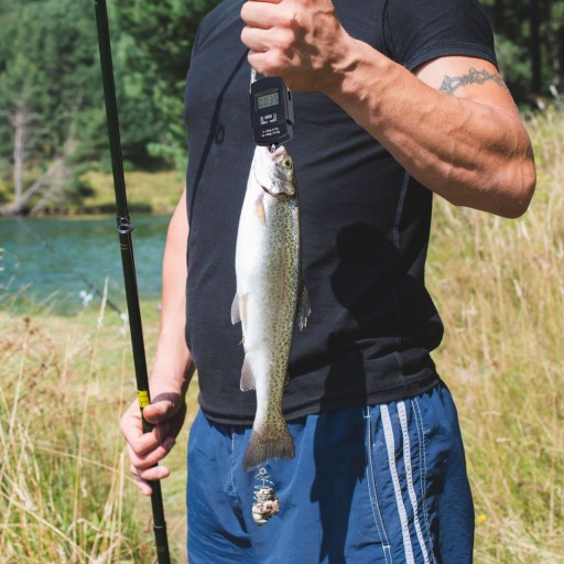 Váha na batožinu cestovná turistická letecká spoločnosť vrecko na ruku 50 kg LCD