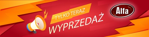 VIVI ŠPENÁTOVÁ TORTILLA pšeničná 240G (4 karbonátky) 25CM