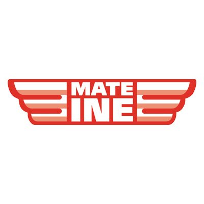 Yerba Mate Mateine Naranja y Limon 50 g s 0,05 kg