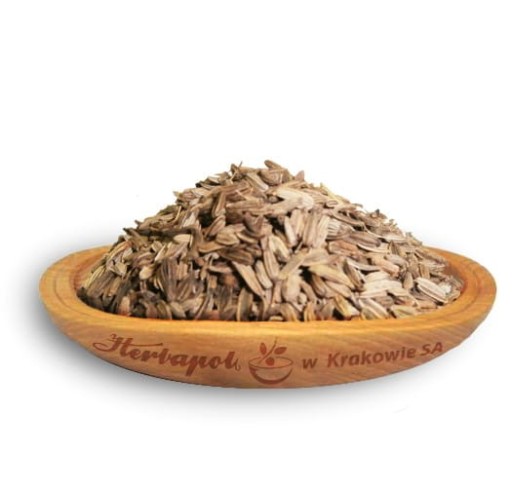 HERBAPOL FENIKEL PLODY 50G