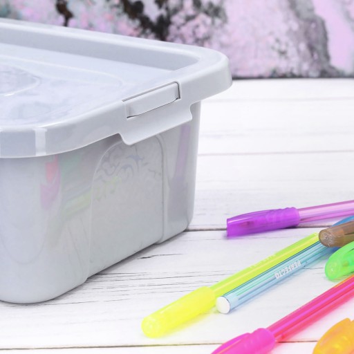 Organizér, plastová nádoba s vrchnákom, 4,5l box, svetlo šedá