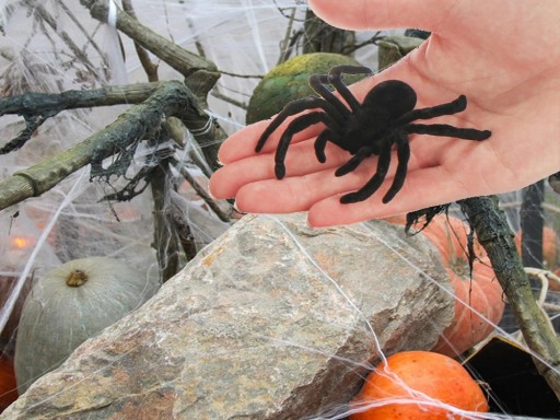 Halloweenska dekorácia PAVÚK 7x11 cm 4 kusy HAL-040