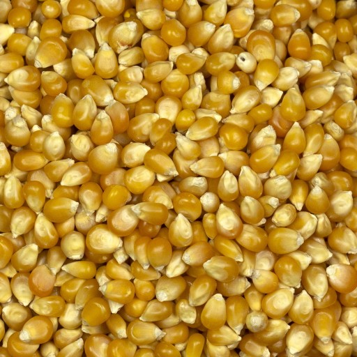 POPCORN POPCORN kukurica, zrno bez soli, 1kg