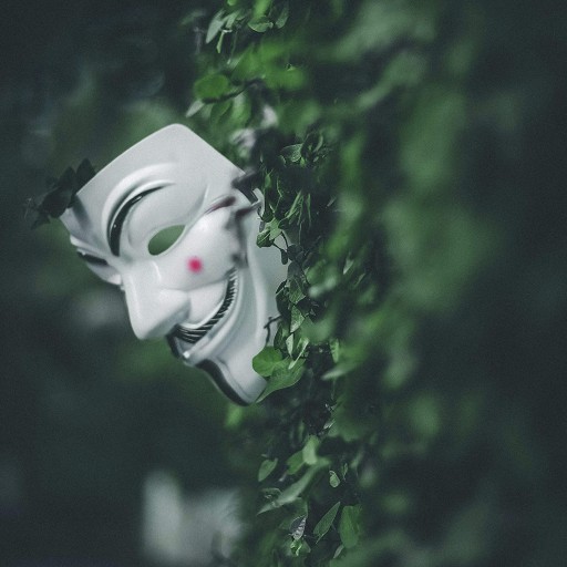 ANONYMNÁ VENDETTA MASKA STOP ACTA KARNEVAL