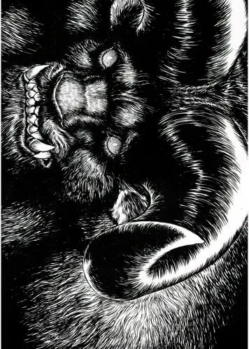 Anime Manga Berserk Plagát b_034 A3