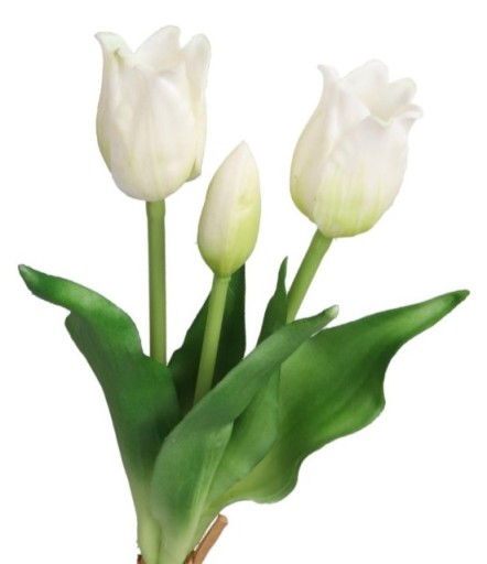 TULIPANY TULIPSKY KYTICE GUMA POTAŽENÁ GUMA AKO ŽIVÁ