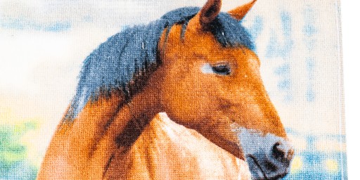 Osuška do škôlky 30x50 kone koníky poníky