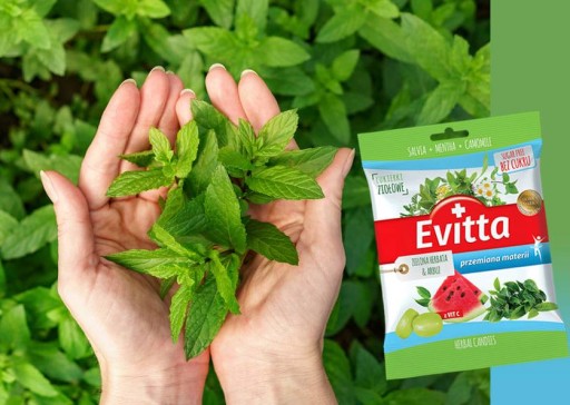 Evitta Cukríky bez cukru, zelený čaj, vodný melón