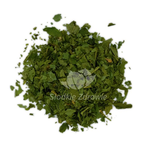 Cesnak medvedí, sušený čerstvý 100g