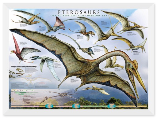 Plagát na stenu Pterosaurs Dinosaury 91,5x61 cm