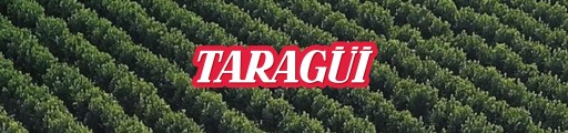 Yerba Mate Taragui tradičné 250g