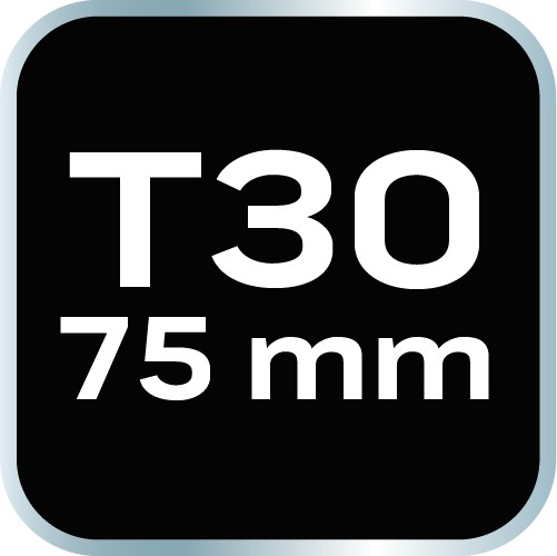 Bit TORX T30 x 75 mm, S2 x 2 ks.