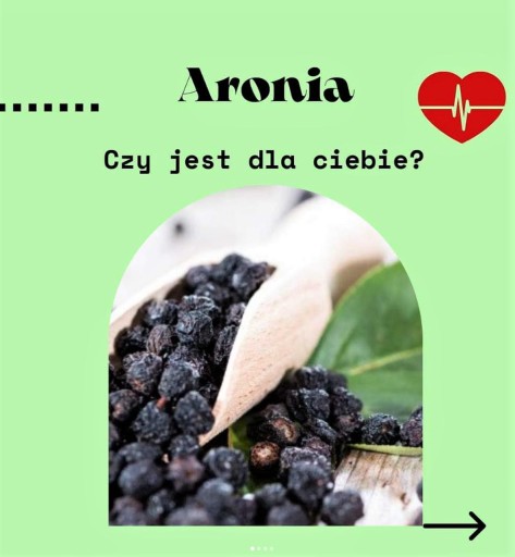 Sušená ARONIA 500g čisté Flavo