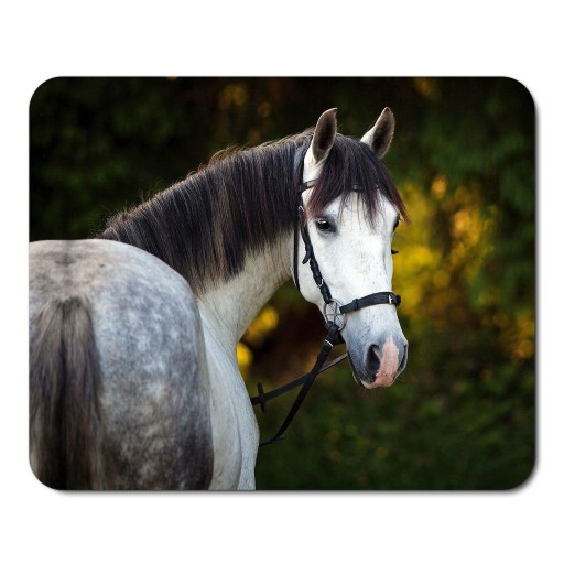 PODLOŽKA NA MYŠ HORSE HORSES