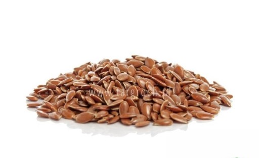 Ľanové semienko, prírodné 1kg TARGROCH
