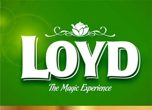 Loyd Taste of the World Yerba Mandarin expresný čaj 20x1,7g