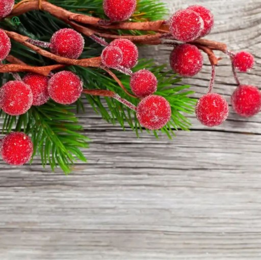 FROST RED UMELÝ Jarabina, 20 ks, ZÁVÄZOK, OZDOBY NA VIANOČNÝ STROMČEK, ČERKY
