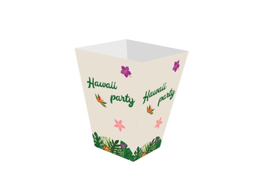 Hawaii Party Popcorn Boxes Hawaii 6s
