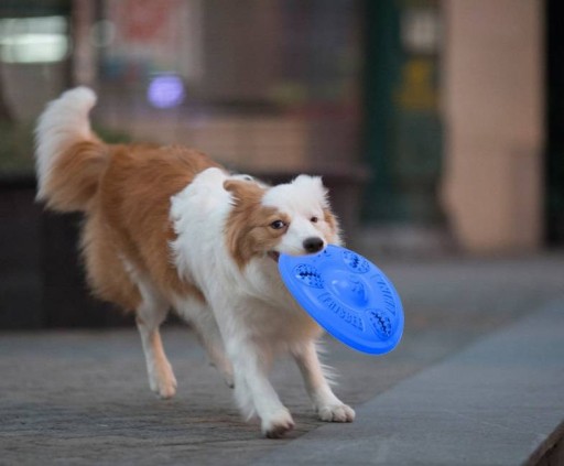 FRISBEE LIETAJÚCI KOTOUČ PRE PSOV, HRUBÁK, ÚSTUPOVÁ HRAČKA