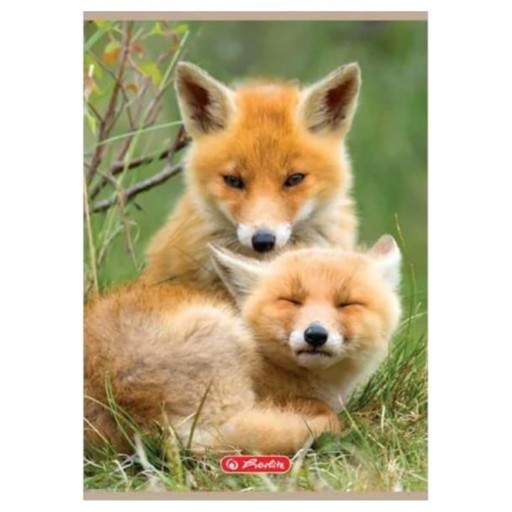A5 Herlitz Animals kockovaný školský zošit, 16 listov líšky
