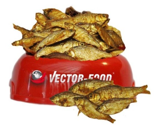 Vector-Food Sušené ryby (sardinky) 100g