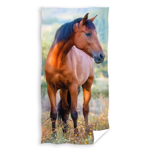 Osuška do škôlky 30x50 Kôň