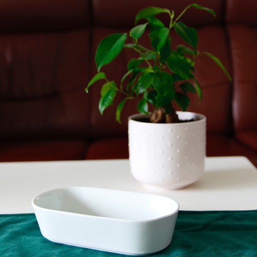 BIELE OVÁLY OVÁLNY PORCELÁN ĽAHKOODOLNÝ PORCELÁN
