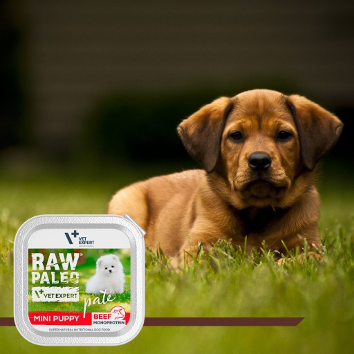 Mokré krmivo pre šteňatá malých plemien s hovädzím mäsom Raw Paleo Mini Puppy 150g