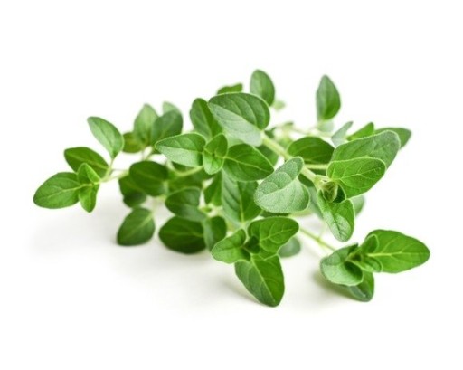 Esenciálny olej oregano 10 ml Prírodné arómy