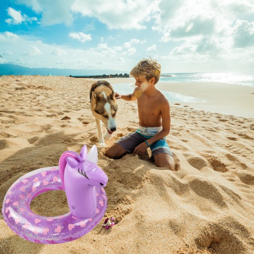 NAFUKOVACIE KOLESO NA PLÁVANIE PONY RUŽOVÝ Prsteň