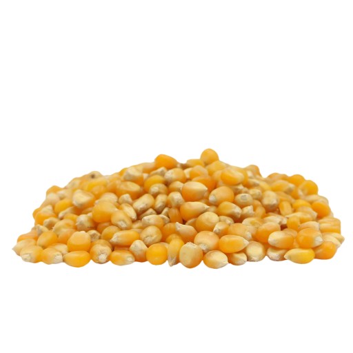 POPCORN POPCORN kukurica, zrno bez soli, 1kg
