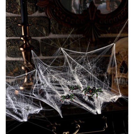 SET SPIDER WEB A SPIDERS