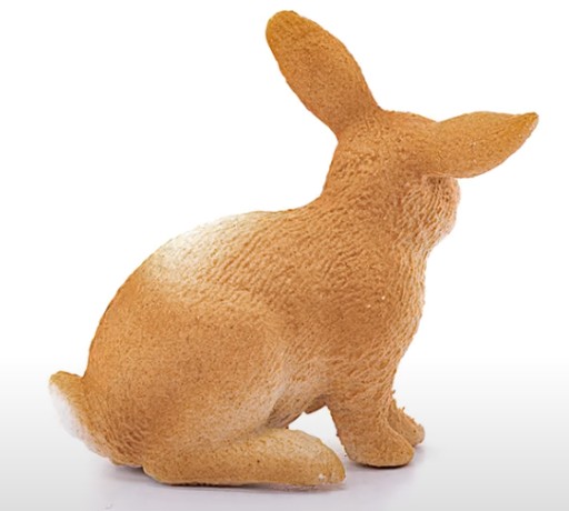 FARMA SVET SCHLEICH KRÁLIEK OBRÁZOK 13827