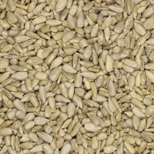 SLNEČNICA LÚPANÁ 1kg Prírodná, kvalitná