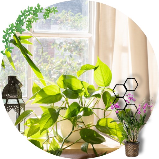 PODPORKA pre rastliny MODULÁRNA kvetinová podpera 58cm sada x2 pre monstera hoi
