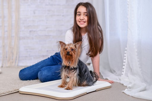PODLOŽKY PRE PSA, PODLOŽKY S FEROMÓNMI 45x30 S 10 ks