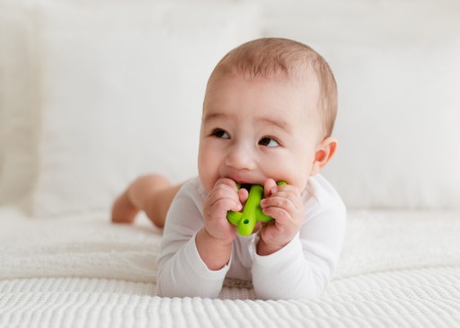 GILIGUMS Teether Cactus Green