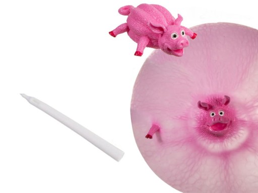Balloon Balloon Animals Bubble Jojo Balloon Ball Nafukovací